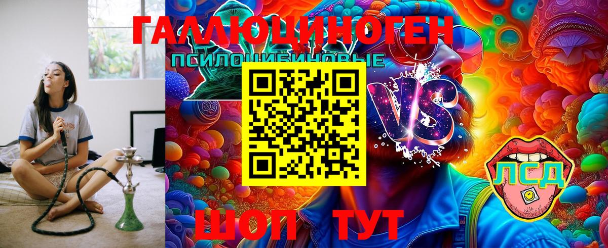 где купить наркоту  Галлюциногенные грибы GOLDEN TEACHER  Вход с VPN  Клин  Галлюциногенные грибы прущие грибы 