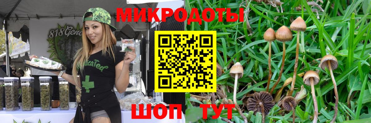 Галлюциногенные грибы Psilocybine cubensis Клин